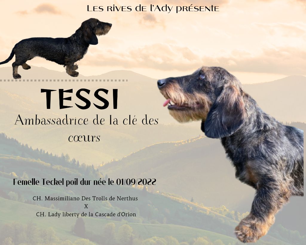 Tessi ambassadrice De La Clé Des Coeurs