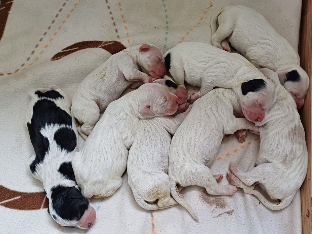 Naissance aux Rives de l'Ady !